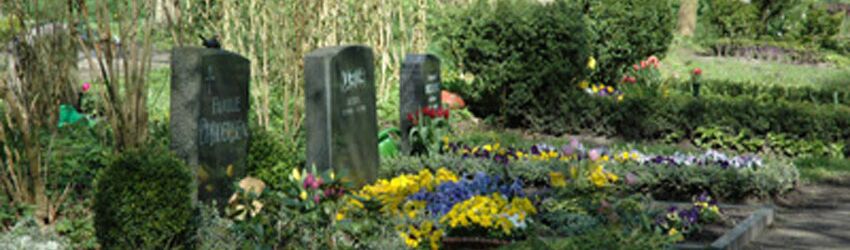 Wahlgräber auf dem Friedhof in Flensburg