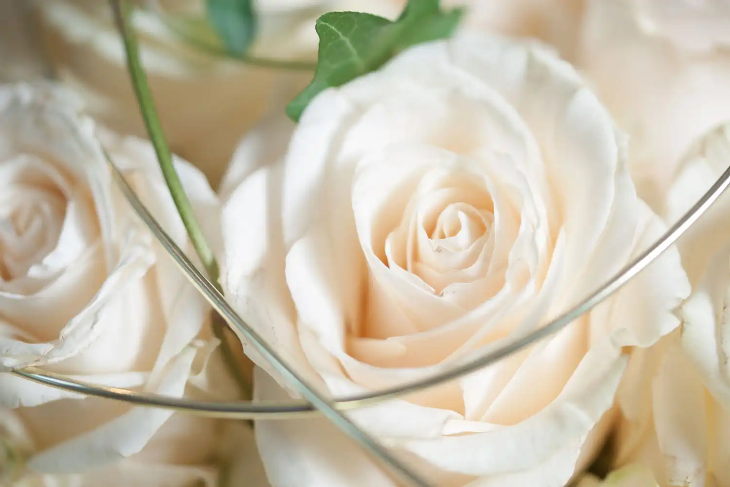 Trauerfall Soforthilfe